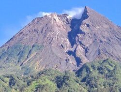 Ancaman Kebakaran Hutan di Gunung Merapi Ungup-Ungup, Petugas Berjuang untuk Memadamkan Api