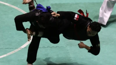 Pencak Silat: Dari Tradisi ke Arena Internasional