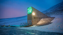 Global Seed Vault: Tempat Teraman di Dunia untuk Masa Depan Pangan