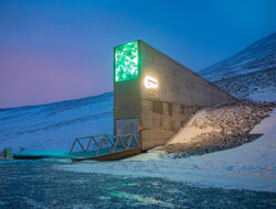 Global Seed Vault: Tempat Teraman di Dunia untuk Masa Depan Pangan