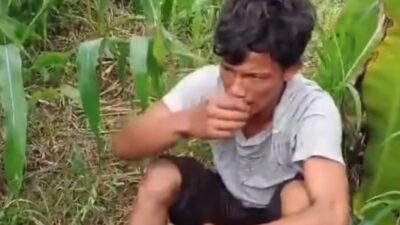 Kejadian Tragis di Medan: Nenek-nenek Jadi Korban Perkosa di Kebun Jagung