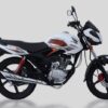 Honda Tiger Revo: Motor Sport dengan Banyak Kelebihan dan Beberapa Kekurangan