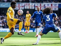 Brighton Tolak MU, Menyimpan Baleba untuk Masa Depan