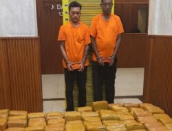Penggagalan Pengiriman Narkoba: Polisi Amankan 255 Kg Ganja di Karo