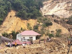 Bencana Alam di Sumatera Utara: Hutan Batang Toru dalam Ancaman