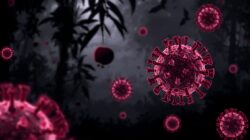 Virus Nipah Kembali Disorot, Ini Penjelasan Lengkap yang Perlu Dipahami Masyarakat Indonesia