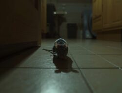 Ancaman Tikus di Rumah Tak Bisa Dianggap Remeh, Ini Strategi Tuntas dari Cara Klasik hingga Teknologi Paling Efektif