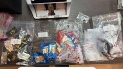 Penggerebekan Whiterabit: Jejak Peredaran Narkoba Terungkap, Pengelola Ditahan