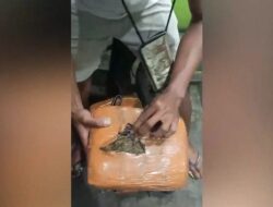 Dua Pengedar Narkoba Diringkus di Grogol, Jakarta Barat