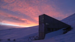 Mengapa Dunia Diam-diam Menyimpan Jutaan Benih di Arktik? Kisah “Brankas Tanaman” yang Disebut Gudang Kiamat