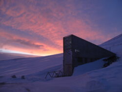 Mengapa Dunia Diam-diam Menyimpan Jutaan Benih di Arktik? Kisah “Brankas Tanaman” yang Disebut Gudang Kiamat