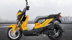 Honda Zoomer-X: Pilihan Unik di Tengah Dominasi Skutik Konvensional