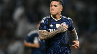 Kontroversi Fernandez: Ketika Komentar Pribadi Berujung Hukuman